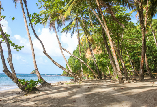 Dominica beach