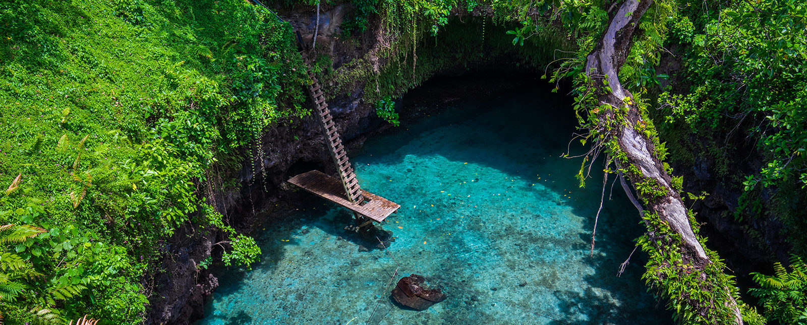 Samoa Tourism Authority Case Study